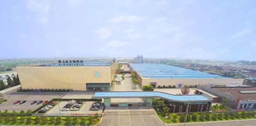 隆力奇 堅守大健康產業，以網絡科技賦能民族品牌振興之路